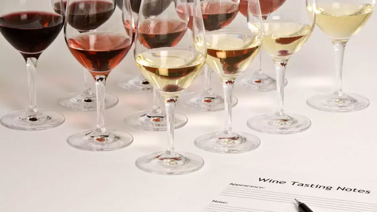 Wine glasses lined up for tasting