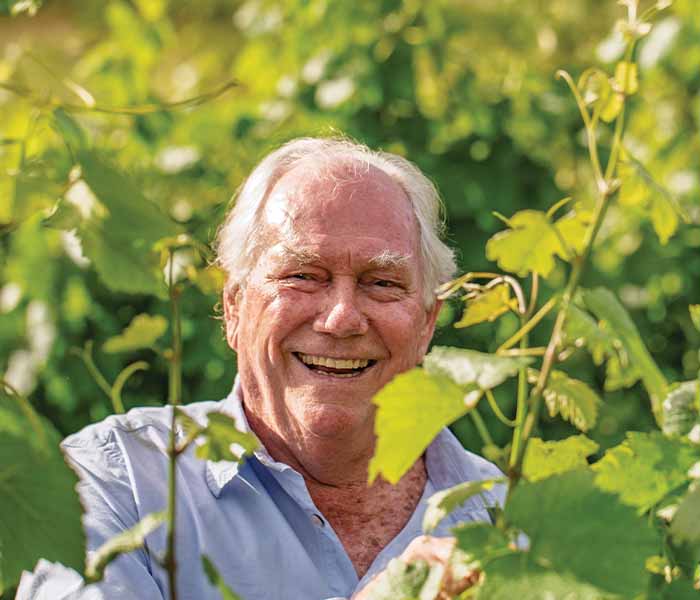 Inside the 2026 harvest at La Vierge Farm on the Hemel-en-Aarde Ridge